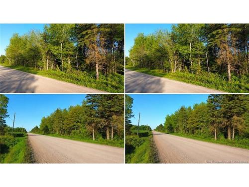 Lot Baseline Rd, Cornhill, NB 