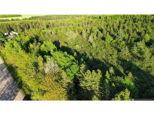 Lot Baseline Rd, Cornhill, NB 
