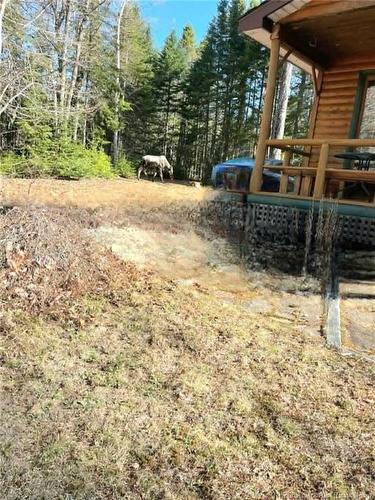 316 Gum Rd, Bartibog Bridge, NB 