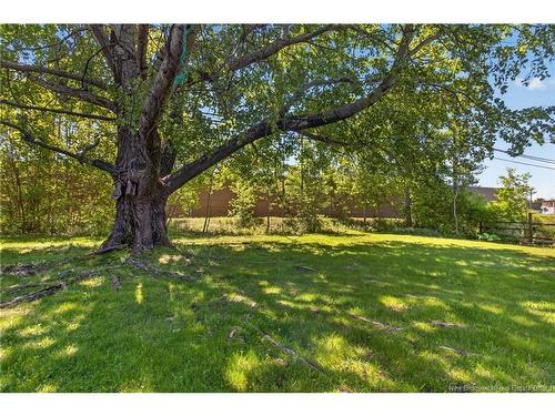 4 Warren Ave, Riverview, NB 