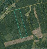 48.98 Acres Alban Richard RD Saint-Ignace, NB E4X 2A6