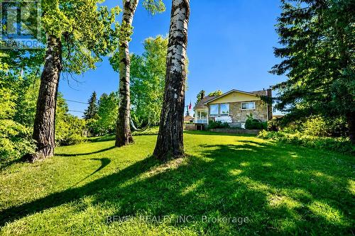 203 DIXON STREET  Timmins (Porcupine - East), ON P0N 1C0
