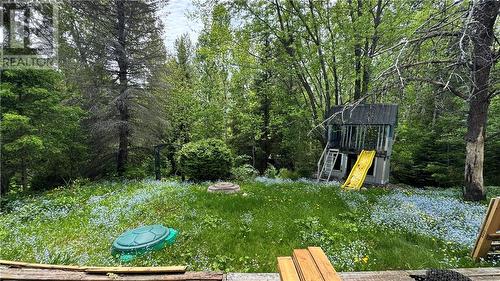 101 Field, Lively, ON 