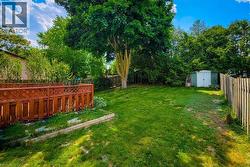 Expansive backyard featuring a large lawn, mature trees, a wood privacy fence, and a storage shed - 