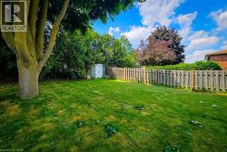 Expansive green lawn featuring a mature tree - 
