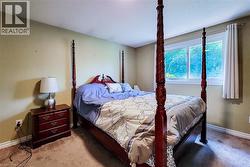 Bedroom featuring a large double window, light-toned walls, and carpet flooring - 
