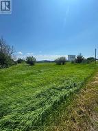 120 DRIVE IN ROAD W  Greater Napanee, ON K0K 2Z0