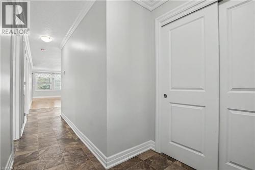 31 Father Biro Trail, Hamilton, ON 