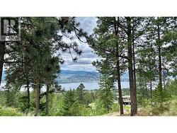 3451 Arawana Road Naramata, BC V0H 1N1