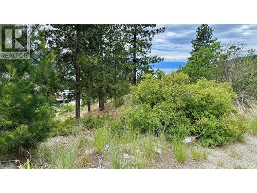 3451 Arawana Road, Naramata, BC 