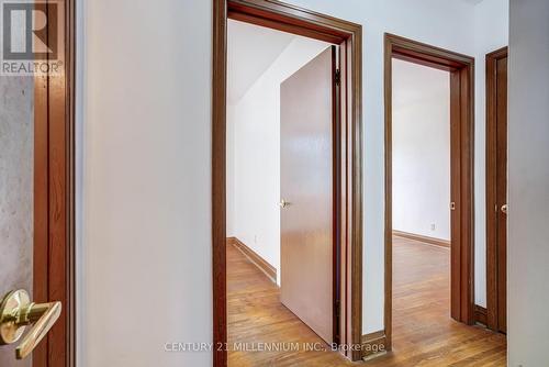 99 Sunning Hill Avenue, Hamilton, ON 