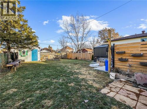 Expansive backyard featuring a lush lawn, mature evergreen tree, and a storage shed with a vibrant blue door - 420 Waverly Street, Hamilton, ON 