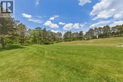 Expansive green lawn with mature evergreen trees bordering a gentle slope - 