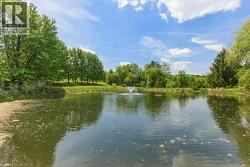 Pond with a central fountain, surrounded by mature trees and verdant landscaping - 