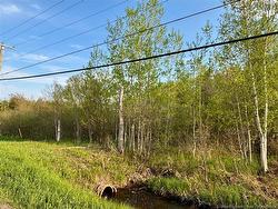 33.8 Acres Route 310 Coteau Road, NB E8T 3K5
