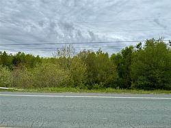 16.3 Acres Route 160 Saint-Isidore, NB E8M 1A9