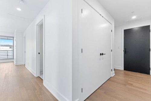 Hall d'entrée/Vestibule - 3909-720 Rue St-Jacques, Montréal (Ville-Marie), QC 