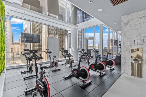 Salle d'exercice - 3909-720 Rue St-Jacques, Montréal (Ville-Marie), QC 