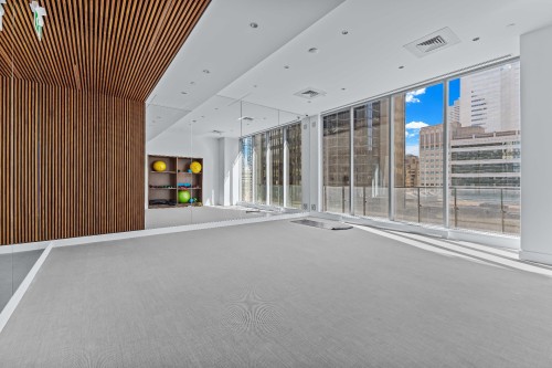 Salle d'exercice - 3909-720 Rue St-Jacques, Montréal (Ville-Marie), QC 