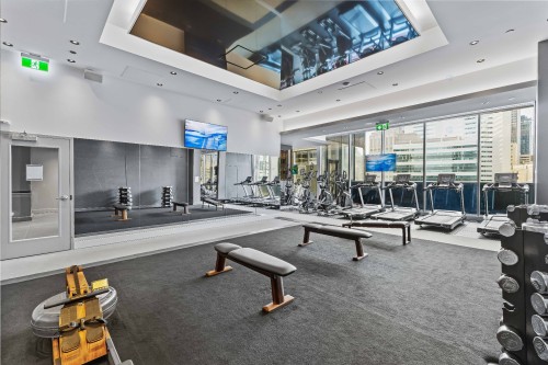 Salle d'exercice - 3909-720 Rue St-Jacques, Montréal (Ville-Marie), QC 