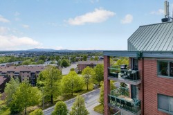 Aerial View - 