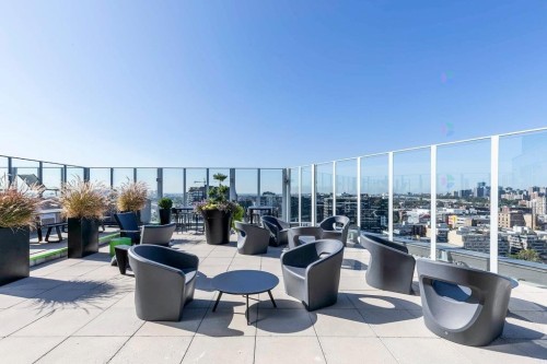 Jardin - 901-888 Rue Wellington, Montréal (Ville-Marie), QC - Outdoor