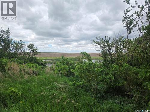 Mcvicar Acreage, Colonsay Rm No. 342, SK 