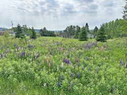 PT LT 13 McKirdy Avenue Nipigon, ON P0T 2J0