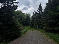 E Matheson Road Lansdowne Station, NS B0K 2A0