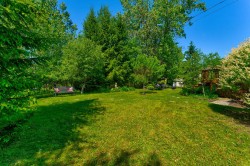 Lot - 