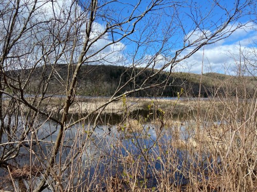 Bord de l'eau - Ch. Du Lac-Cadotte, Trois-Rives, QC 