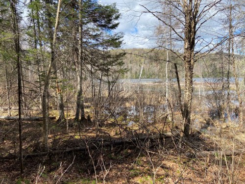 Bord de l'eau - Ch. Du Lac-Cadotte, Trois-Rives, QC 