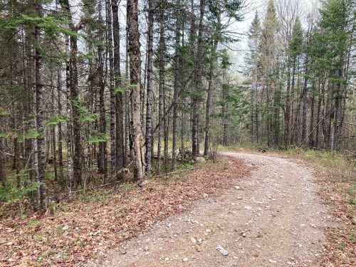 Autre - Ch. Du Lac-Cadotte, Trois-Rives, QC 