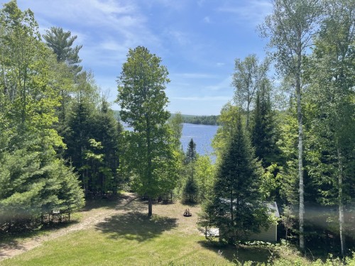 Vue sur l'eau - 131 Ch. Des Bouleaux, Lac-Des-Écorces, QC 