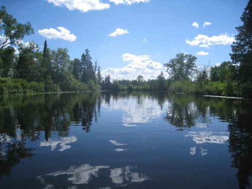 Autre - 131 Ch. Des Bouleaux, Lac-Des-Écorces, QC 