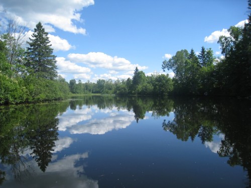 Autre - 131 Ch. Des Bouleaux, Lac-Des-Écorces, QC 