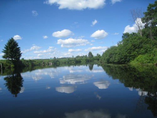 Autre - 131 Ch. Des Bouleaux, Lac-Des-Écorces, QC 