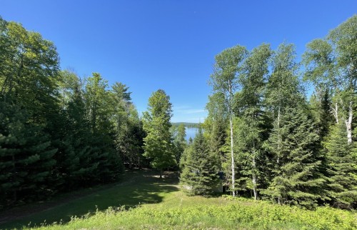 Terre/Terrain - 131 Ch. Des Bouleaux, Lac-Des-Écorces, QC 