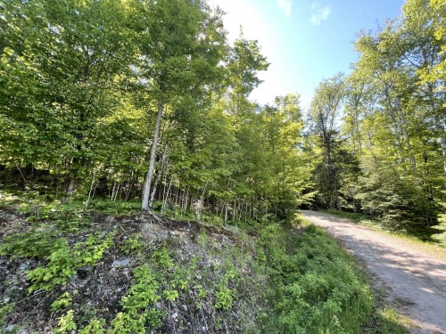 Extérieur - 131 Ch. Des Bouleaux, Lac-Des-Écorces, QC 