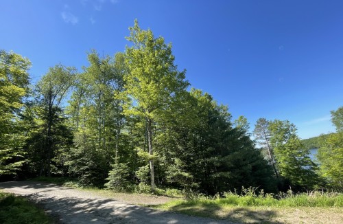 Extérieur - 131 Ch. Des Bouleaux, Lac-Des-Écorces, QC 