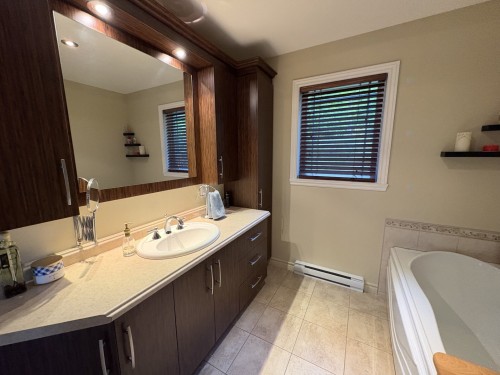 Salle de bains - 131 Ch. Des Bouleaux, Lac-Des-Écorces, QC 