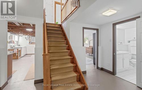 Bright Basement - 30 Theodore Drive, Mississauga, ON 