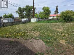 Large back yard - 