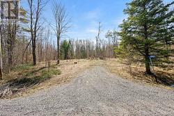 1962 CANAAN ROAD Ottawa, ON K4C 1J6