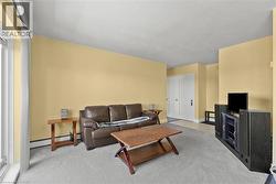 Bright living area featuring light-colored walls and soft gray carpeting - 