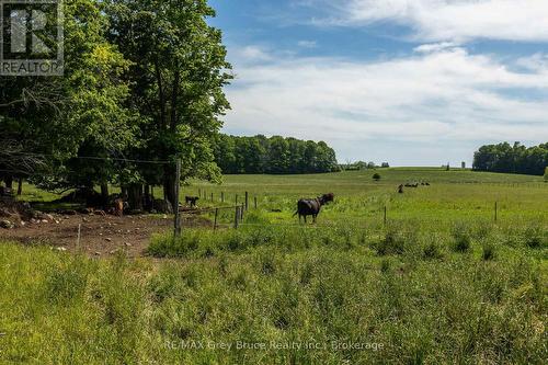 122152 Sideroad 12, Georgian Bluffs, ON 