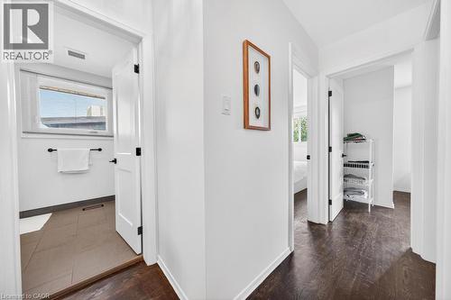 Hallway featuring dark wood-finish flooring, white walls, and bright white trim - 19 Glen Forest Drive, Hamilton, ON 