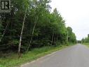 Wpt Sec 27 Marlette Dr, Havilland, ON 