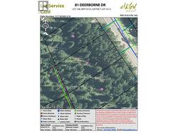 81 DEERBORNE Drive Elkford, BC V0B 1H0