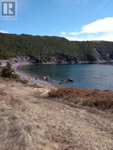0 Main Road, Open Hall-Red Cliffe, NL 